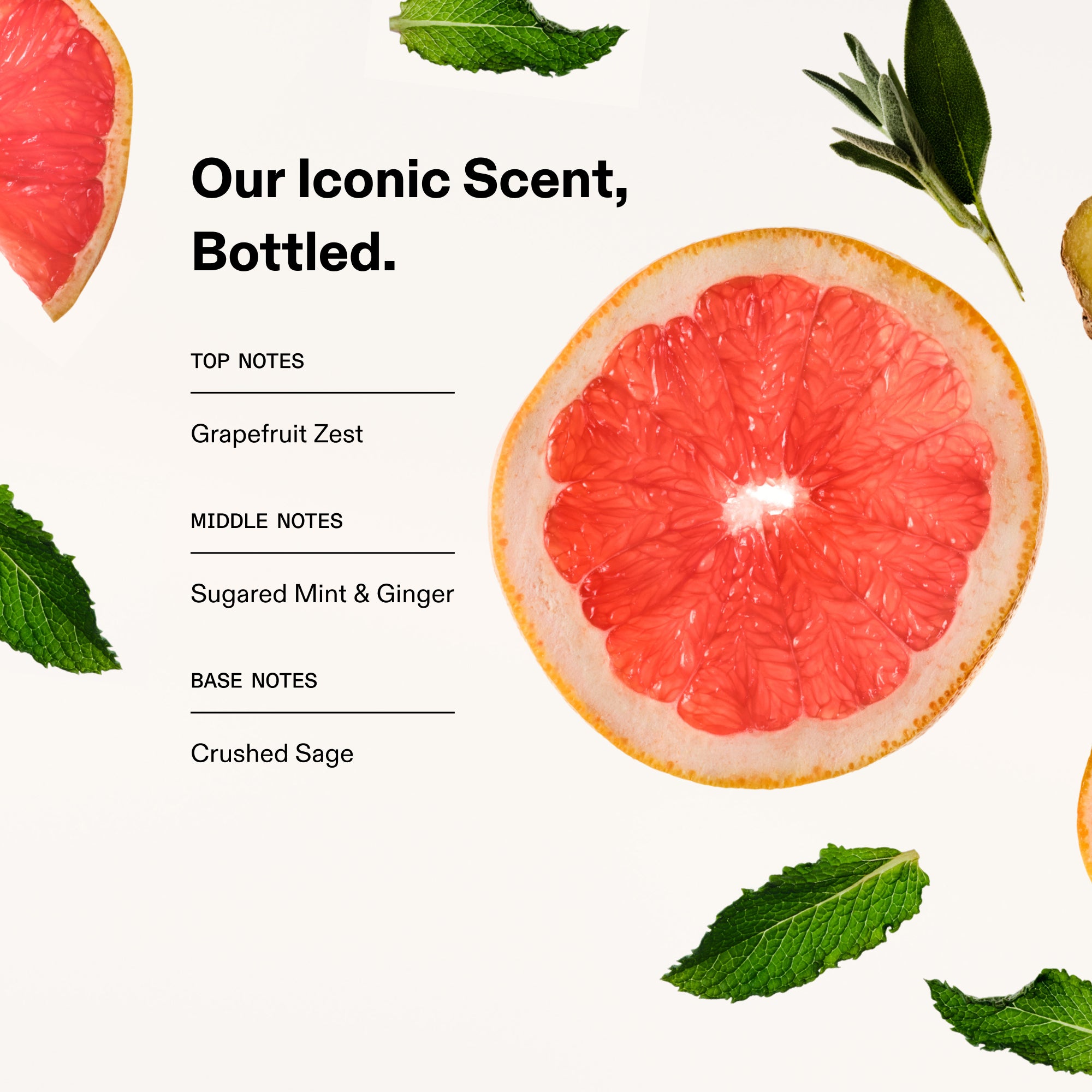 SIGNATURE HAIR & BODY FRAGRANCE MIST - Image 2